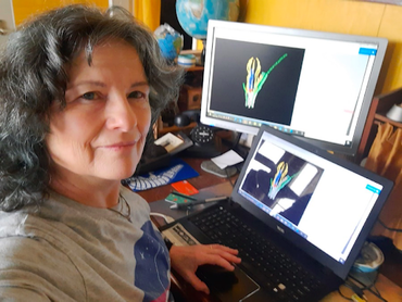 Researcher Monique Welten analyzing 3D scans of parachute plant flowers