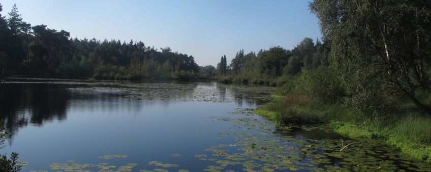 Verlanding in Venrode-Midden