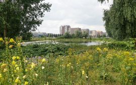 Groene Metropool: verbinding tussen stad en natuur