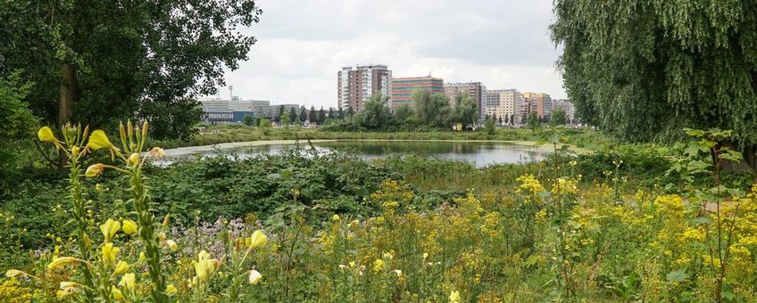 Groene Metropool: verbinding tussen stad en natuur