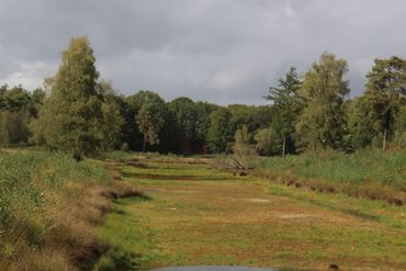    ...en na langdurige droogte