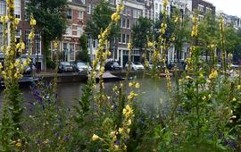 Kars Veling Idylle langs de gracht - primair