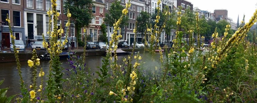 Idylle langs de gracht - primair