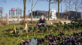 Moestuin van Onder d'n Plag, aangelegd met behulp van Buurtnatuur- en buurtwaterfonds.