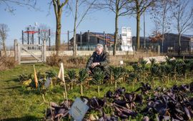 Moestuin van Onder d'n Plag, aangelegd met behulp van Buurtnatuur- en buurtwaterfonds.