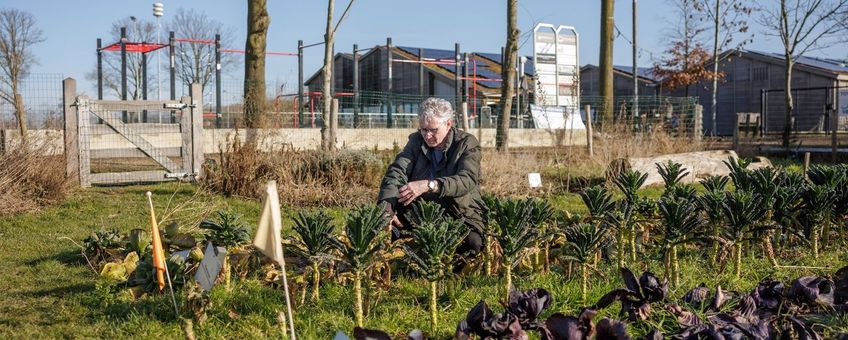 Moestuin van Onder d'n Plag, aangelegd met behulp van Buurtnatuur- en buurtwaterfonds.