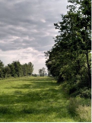 Elzensingels...