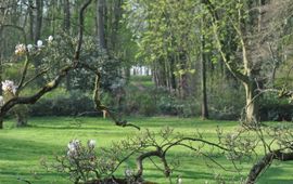 Bosgroepen (Barbara Groen) Landgoed