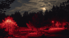Rode verlichting