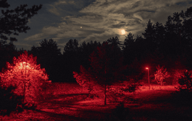 Kamiel Spoelstra / NIOO-KNAW Rode verlichting