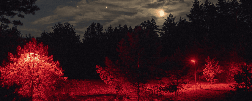 Rode verlichting