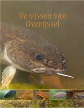 De vissen van Overijssel