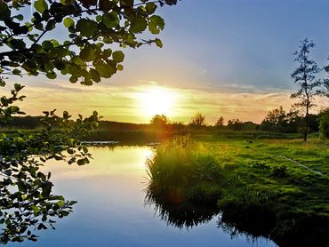 Het Naardermeer was het eerste officiële natuurreservaat van ons land