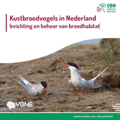 Brochure 'Kustbroedvogels in Nederland - Inrichting en beheer van broedhabitat'