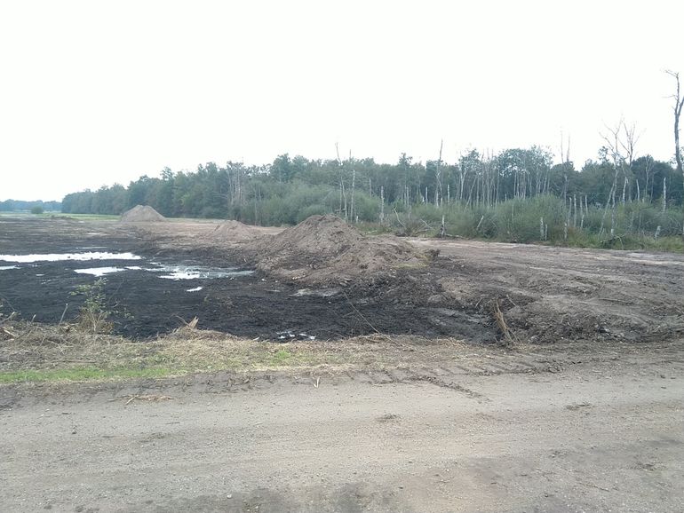 De pingo, gezien vanaf de Blokkendijk, is ontdaan van bosopslag en ingeschoven grond (links). Het intacte veen is blootgelegd en door grondwaterdruk zijn kwelplassen zichtbaar. Rechts ligt een voormalig opgehoogd landbouwperceel. Het perceel was als grasland in gebruik, maar recentelijk verbost. De houtopslag is verwijderd en de graszode is afgeschraapt. Inmiddels is ook het ingebrachte zand en de onderliggende vuilstort verwijderd. Door de herstelwerkzaamheden ligt het door grondwater gevoede veen weer aan de oppervlakte en kan de basenminnende vegetatie zich weer herstellen