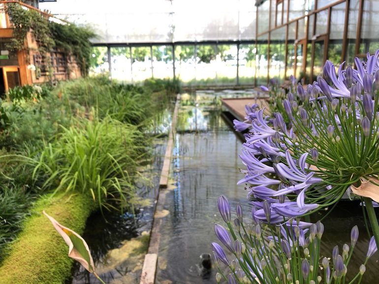 Kansen voor natuur in gebouwen