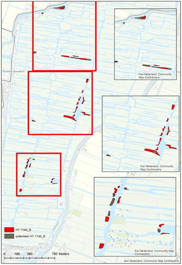 Habitattype veenmosrietland (rood) en potentieel habitattype veenmosrietland (groen). Met potentieel wordt bedoeld dat met het juiste beheer dit tot kwalificerend veenmosrietland kan ontwikkelen