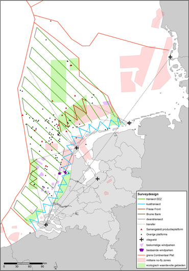 Ligging van de monitoringsroutes op het Nederlands Continentaal Plat (groen), Bruine Bank (bruin), Friese Front (lichtbruin) en in de kustzone (blauw)