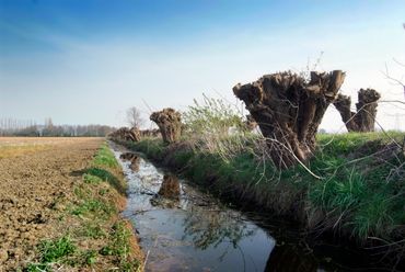 Sloten voeren overtollig water snel af