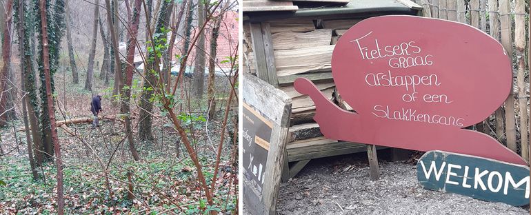 Op de helling van de Kruisberg komen nog Stekelslakjes voor. Evenals meerdere andere landslakken. Of de fauna hier nog zo rijk is als vroeger, is wel sterk de vraag. Rechts: toepasselijk bord bij gasterij De Kruisberg