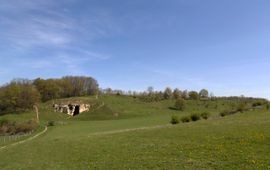 Kalkgraslanden Sint-Pietersberg