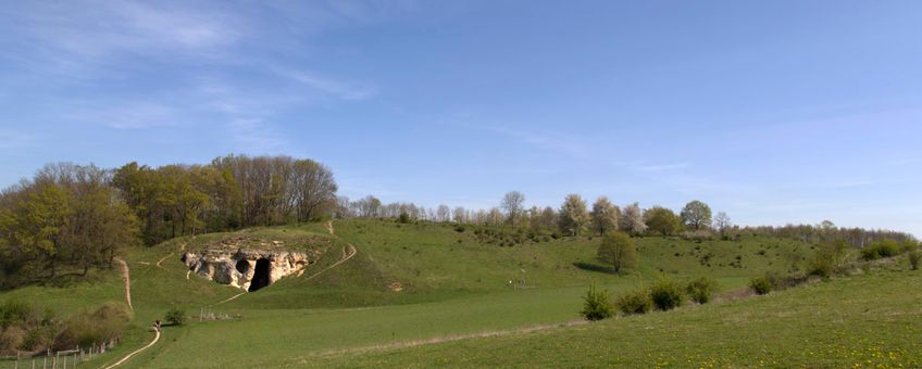 Kalkgraslanden Sint-Pietersberg