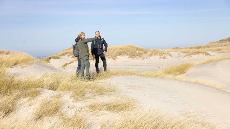 Dankzij kerven in de voorste duinenrij, waait het zand weer naar binnen