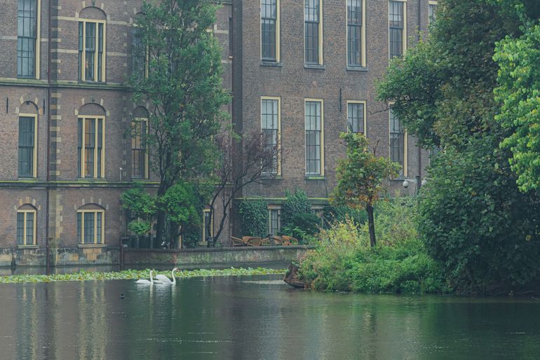 Een kleine groene parel om de hoek bij het Binnenhof