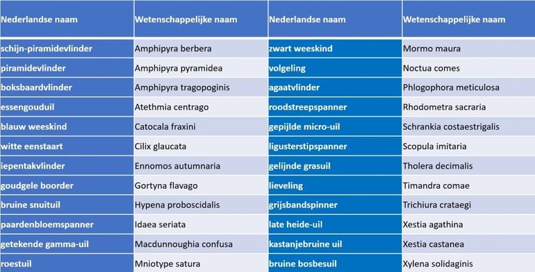 Overzicht van soorten nachtvlinders die sinds 2000 hun vliegpiek begin september hebben 