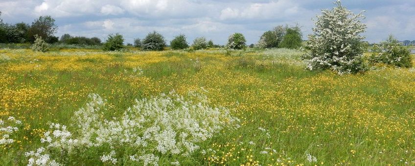 In natuurgebieden liggen relatief veel meetnetroutes