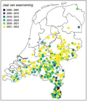 Verspreidingskaart van de teunisbloempijlstaart van 2000 tot 2022