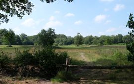 Provincie Gelderland