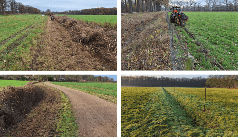 Vereniging Nederlands Cultuurlandschap realiseerde 23 kilometer landschapselementen, die het agrarisch cultuurlandschap rond Brummen versterken
