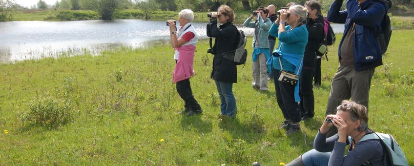 Nationale Vogelweek 2013 2