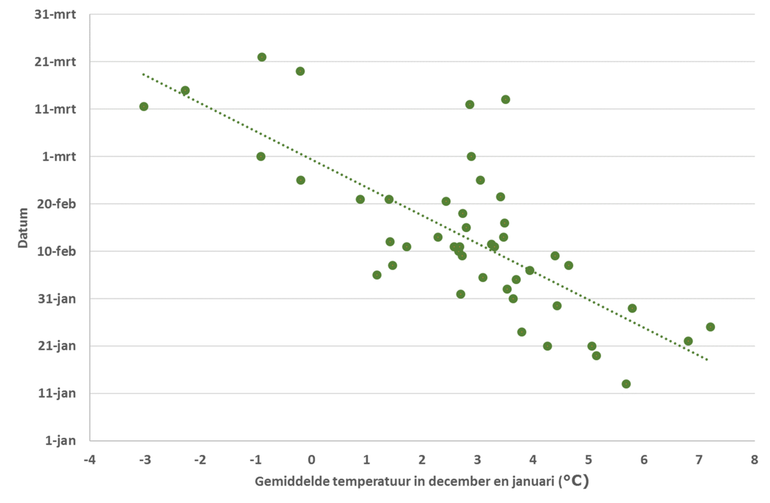Figuur 3: Relatie tussen bloeidatum gewoon sneeuwklokje (mediaan) en de gemiddelde temperatuur in de maanden december en januari