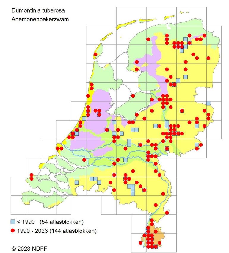 Verspreidingskaartje Anemonenbekerzwam