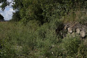 Bijenhotel langs ecologisch beheerde berm