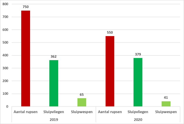 Figuur 2: Het totaal aantal eikenprocessierupsen, het aantal sluipvliegen en het aantal sluipwespen aangetroffen in drie bemonsterde nesten in 2019 en 2020