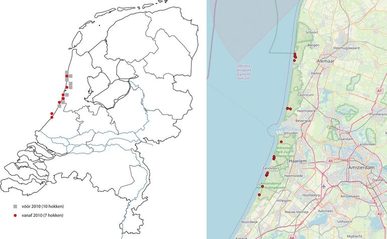 Vindplaatsen van de duinmaskerbij. Links: vindplaatsen in Nederland voor en vanaf 2010. Rechts: vindplaatsen in Noord-Holland vanaf 2010
