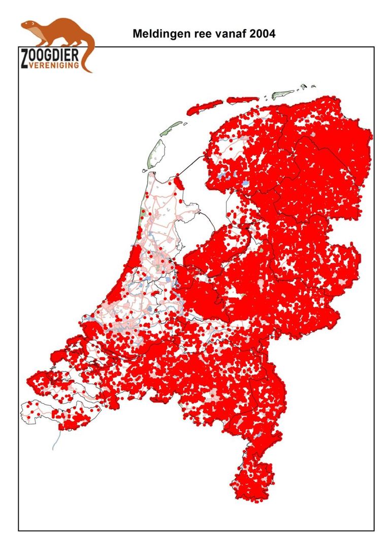 Meldingen Ree vanaf 2004