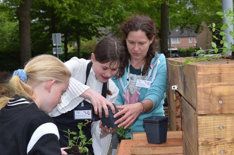 De groene schoolpleinen worden ingezet in de lessen