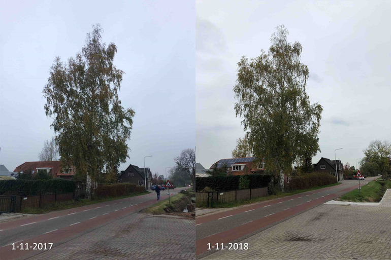 Berk aan de Dijkgraaf in Bennekom