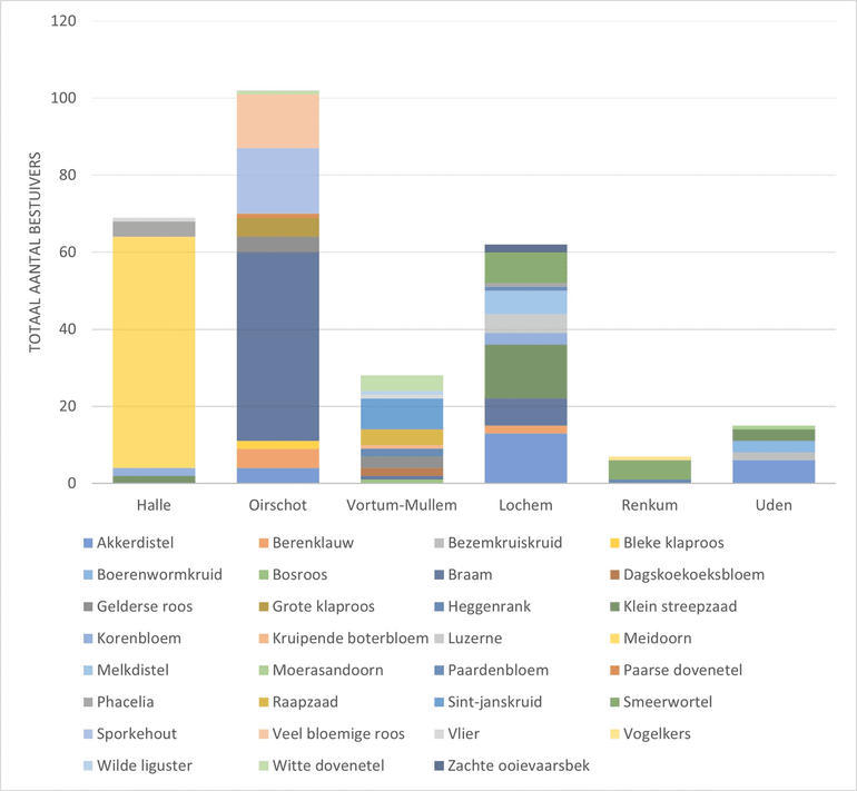 Het totaal aantal gevonden individuele bestuivers op bloemen per locatie. Het aantal gevonden bestuivers op bloemen is gebaseerd op drie waarnemingen per transect. Elke locatie bestaat uit twee transecten van elk 150 vierkante meter