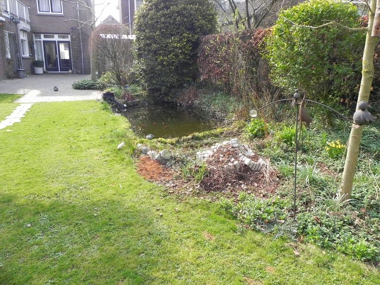 Tuinvijver waar dwergvleermuizen komen drinken