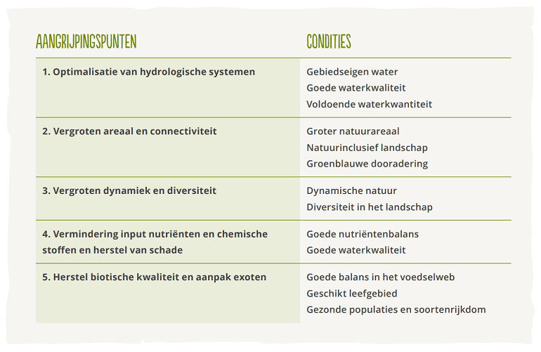 Generieke maatregelen en condities waaraan gewerkt moet worden voor Basiskwaliteit Natuur. Per landschapstype wordt dit verder uitgewerkt