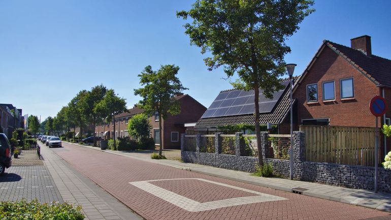 Bomen bereiken nu lang niet altijd hun optimale vorm en dat heeft veel te maken met de beperkte groeiplaats die ze nu vaak hebben