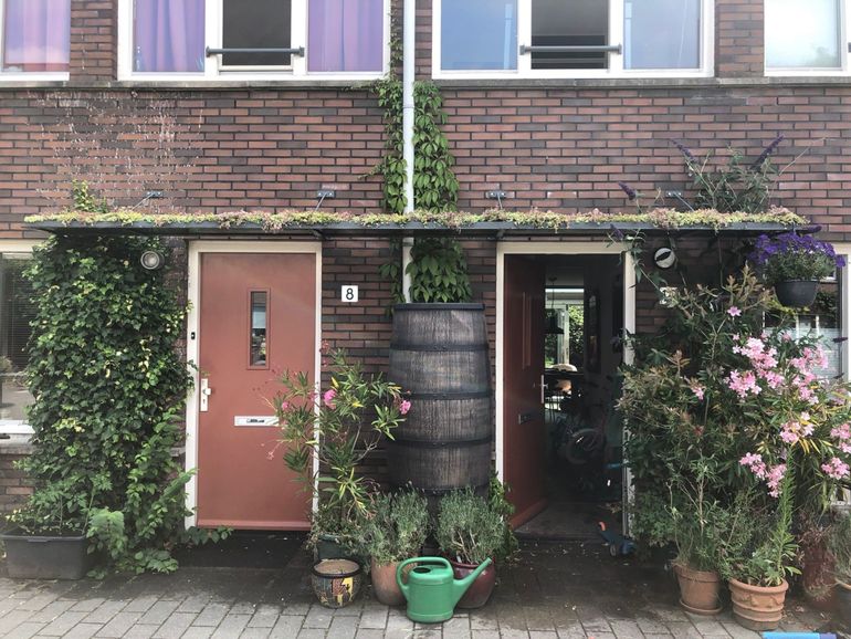 Groen dak boven voorgevel in straat in Utrecht