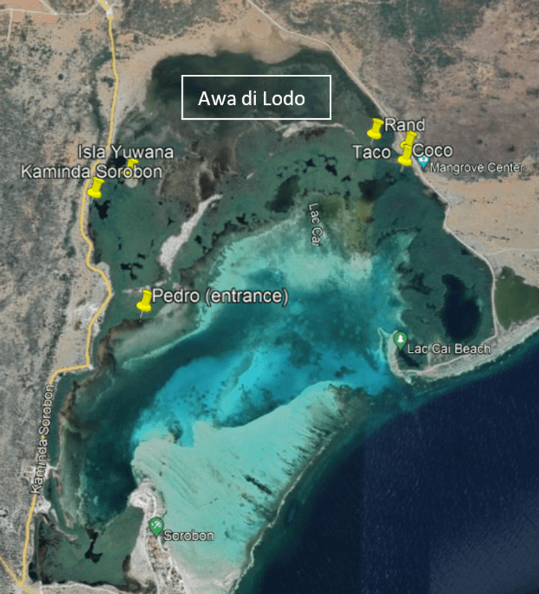 Locaties waar de groei van aangeplante mangroves werd gemonitord. Lac Bay, Bonaire