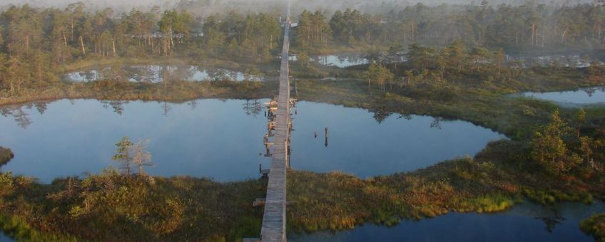 Een intact hoogveen in Estland