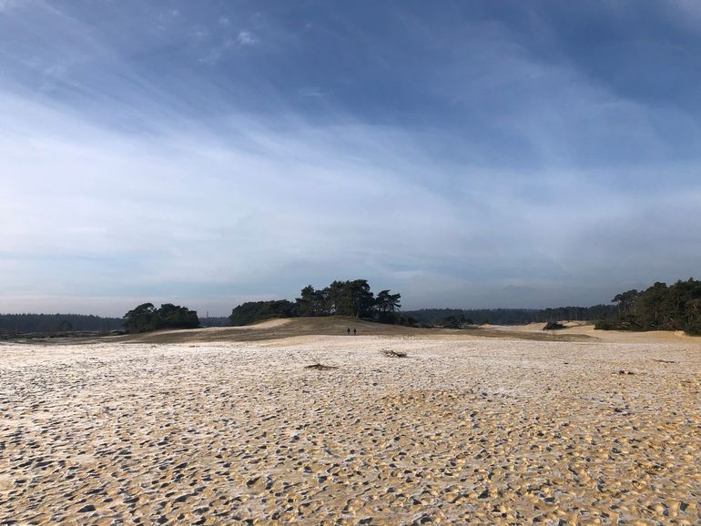 Het Wekeromse Zand ligt grotendeels binnen de begrenzing van het Natura 2000-gebied Veluwe